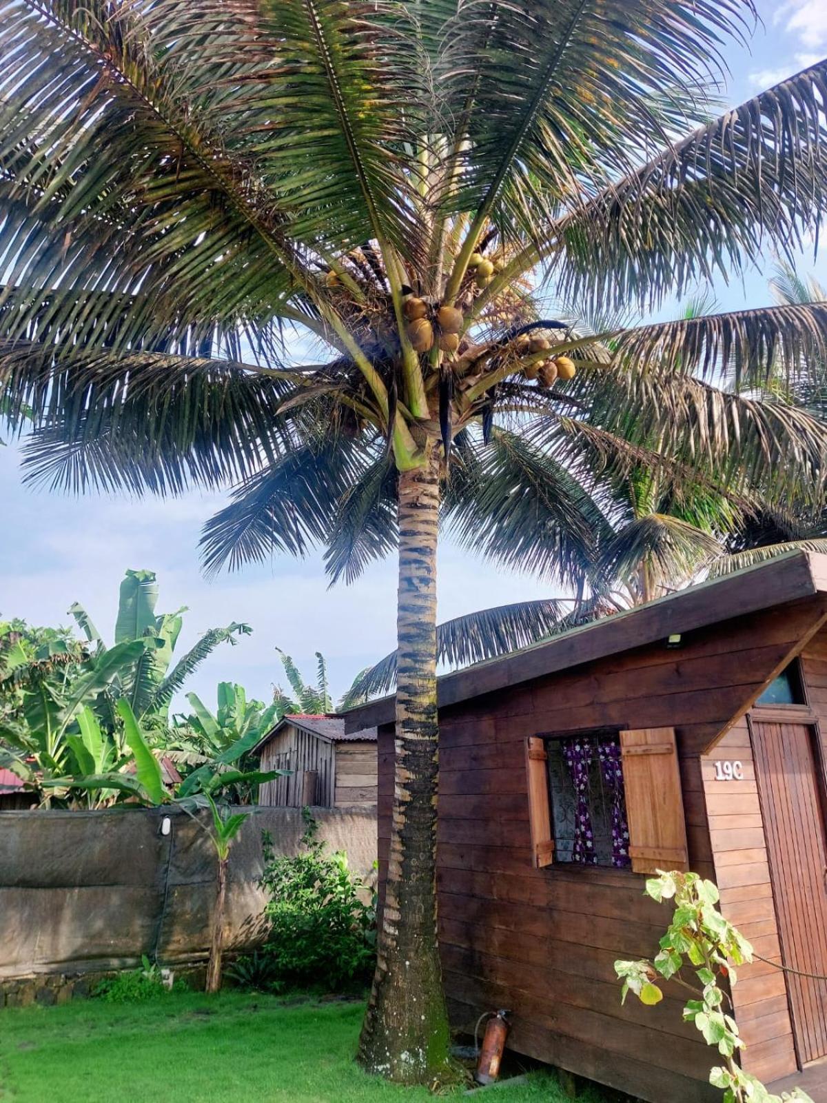 Gente D'Aqui Nge D'Ai Ee Villa Sao Tome Exteriör bild