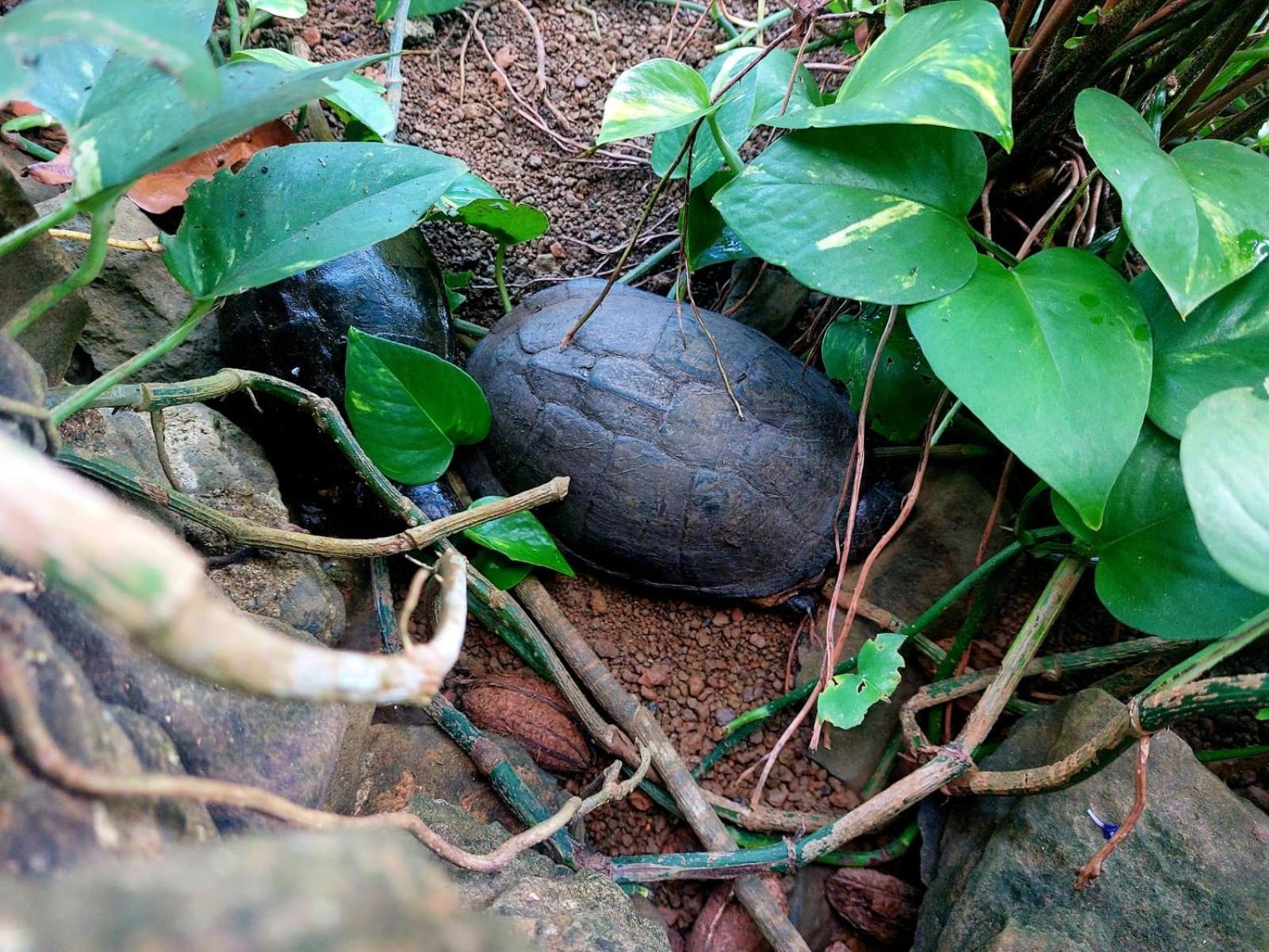Gente D'Aqui Nge D'Ai Ee Villa Sao Tome Exteriör bild